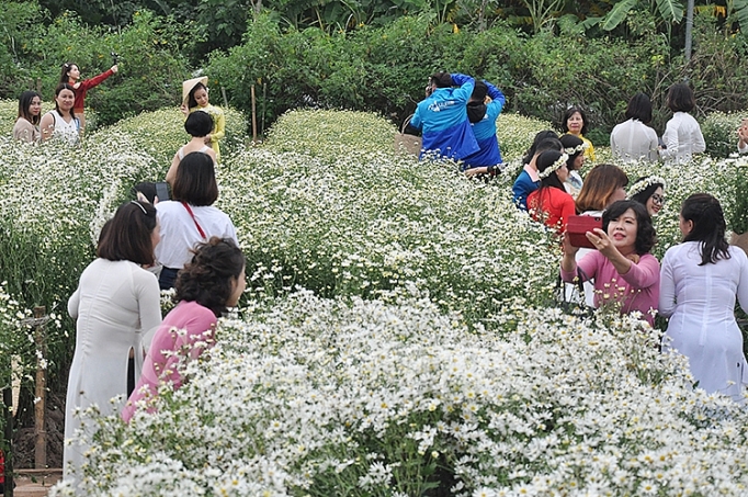 mua cuc hoa mi dich vu chup anh voi hoa dat khach