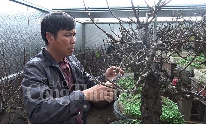 dao tien vua dem hoa ra tien