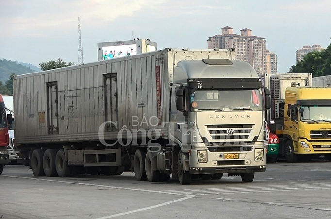 Lào Cai: Xuất nhập khẩu chính ngạch chiếm 93,9% lao cai soi dong xuat nhap khau qua cua khau quoc te