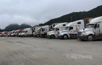 Tiếp tục xuất nhập khẩu hàng hóa qua cửa khẩu phụ ở Lạng Sơn và Quảng Ninh