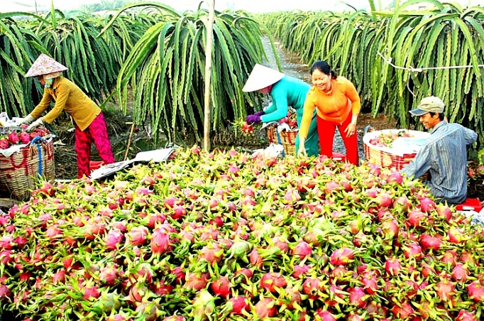 Khuyến nghị sản xuất phục vụ xuất khẩu phù hợp với diễn biến dịch Covid-19 khuyen nghi san xuat phuc vu xuat khau phu hop voi dien bien dich covid 19