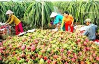 Khuyến nghị sản xuất phục vụ xuất khẩu phù hợp với diễn biến dịch Covid-19