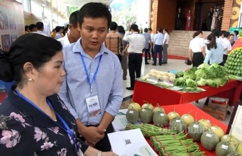 Tiêu thụ nông sản: Khai thác bền vững thị trường nội địa