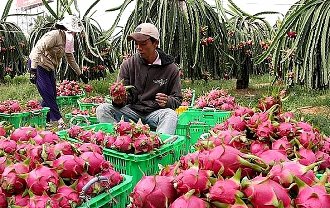 go diem nghen de hang nong san trai cay vuon xa