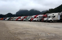 Bộ Công Thương khuyến nghị giải pháp xuất khẩu nông sản ổn định sang thị trường Trung Quốc