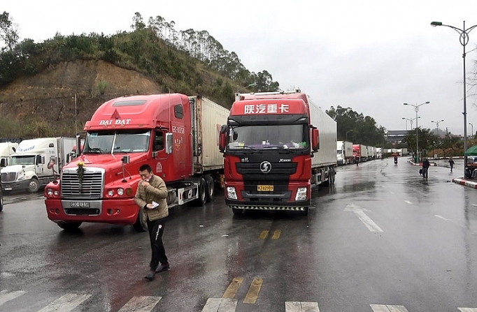 lang son siet quan ly doi lai xe xuat nhap khau chuyen trach