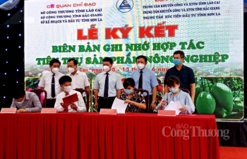 Kết nối tiêu thụ mận Tam Hoa Bắc Hà, vải thiều Bắc Giang và xoài Sơn La tại Lào Cai