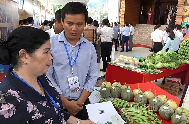 0028 rau qua evfta1 copy