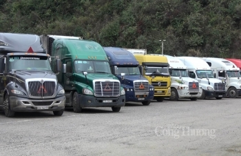 Chủ động điều tiết xuất khẩu qua cửa khẩu Lạng Sơn