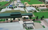 loi ich kep pho bien chinh sach phap luat cho doanh nghiep