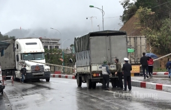 Kịp thời hỗ trợ thông quan hàng hóa nhập khẩu phòng chống dịch Covid-19