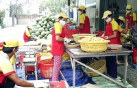 Phát huy động lực kinh tế tư nhân trong thập niên tới