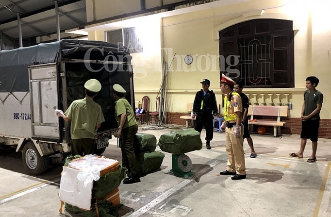 Đội Quản lý thị trường số 1 Lạng Sơn bắt giữ 2,5 tấn nầm lợn doi quan ly thi truong so 1 lang son bat giu 25 tan nam lon