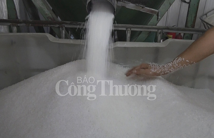 rui ro thach thuc nganh cong nghiep nhua ky iii tien toi tu chu nguon nguyen lieu dau vao