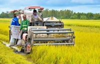 Phát triển nông nghiệp đến năm 2030: Vào Top 10 nước hàng đầu thế giới về chế biến nông sản