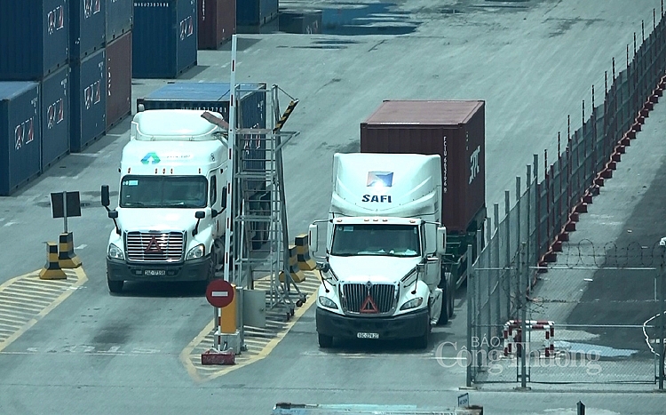 undefined 5915-van-tai-duong-bo-copy