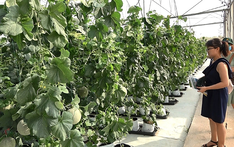 undefined 4420-nong-nghiep1