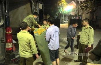 Lạng Sơn: Tăng cường chống hàng lậu, gian lận qua xuất nhập khẩu và thương mại điện tử