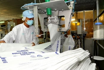 Ngành mía đường: Bất cập trong quan hệ mua - bán mía nguyên liệu