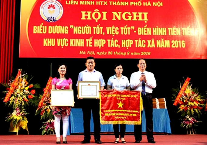 ha noi nang cao nang luc dieu hanh phat trien hop tac xa