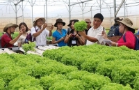 Hà Nội nâng cao năng lực điều hành phát triển hợp tác xã