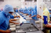 Sẵn sàng để thích ứng với các yêu cầu hội nhập CPTPP