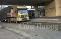 Lào Cai: Điểm sáng kinh tế Vùng trung du miền núi phía Bắc