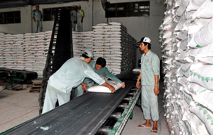 san xuat duong trong nuoc thieu hut lon so voi nhu cau