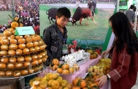 Bắc Kạn thúc đẩy phát triển nông sản đặc trưng vùng miền