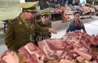 Lạng Sơn: Chưa phát hiện vụ xuất khẩu lợn nào trót lọt