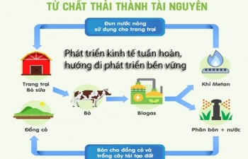 Lan tỏa Luật Bảo vệ môi trường để phát triển bền vững