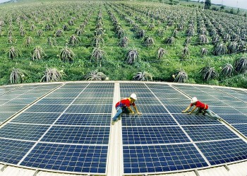 Đề nghị các bộ ngành phối hợp tạo thuận lợi cho phát triển năng lượng tái tạo
