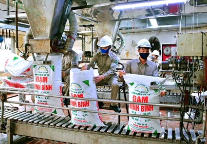 Thiếu than cho sản xuất, Đạm Ninh Bình vẫn lạc quan đặt mục tiêu lợi nhuận 100 tỷ đồng năm 2022
