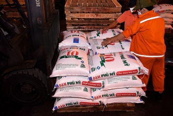 Giá phân ure dự đoán khó có thể giảm hơn nữa