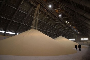 Ngày 25/7: Giá phân bón ure, kali, NPK tiếp tục hạ nhiệt