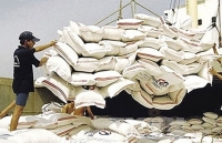 Xuất khẩu gạo rộng cửa quý đầu năm 2019