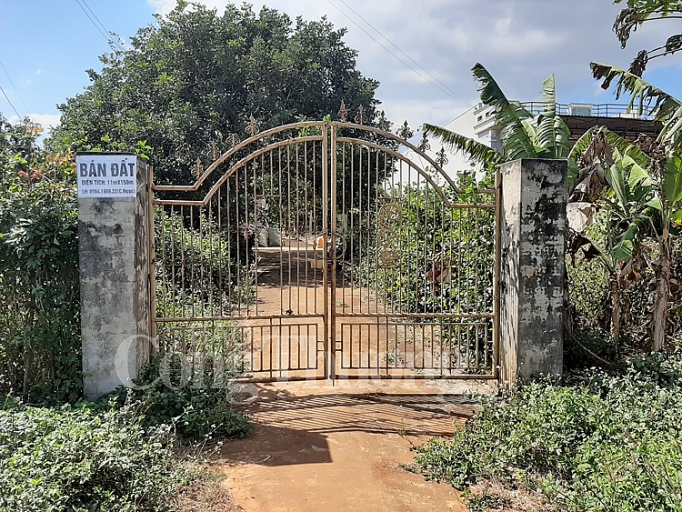 ky ii chinh sach phat trien ho tieu quen vi the nong ho