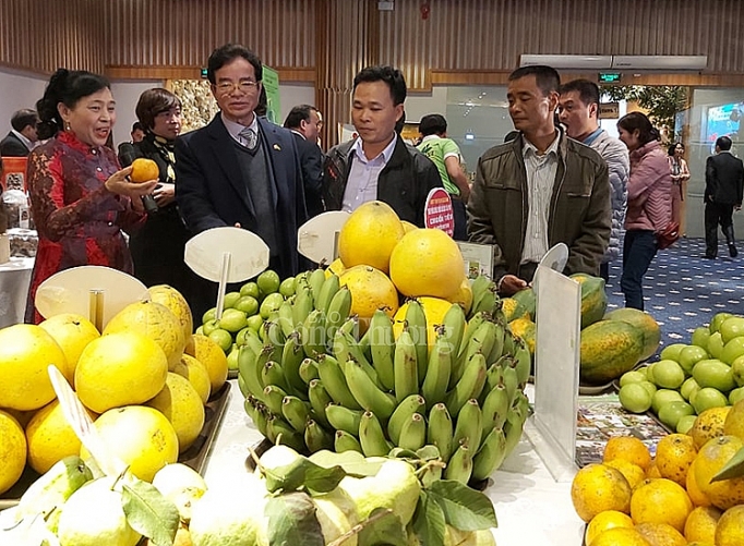 Hội chợ Xuân Canh Tý 2020 tại Hà Nội có những gì? 120 gian hang tham gia hoi cho xuan canh ty 2020