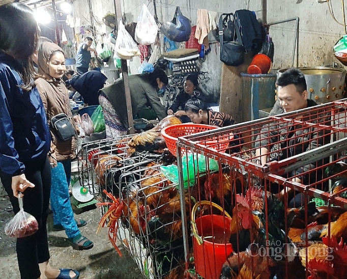 Rộn ràng chợ Tết ông Công, ông Táo ron rang cho tet ong cong ong tao