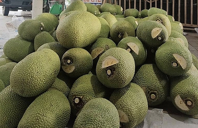 sau thanh long, mít có thể sẽ cần hỗ trợ tiêu thụ.