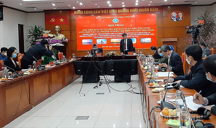 Toàn cảnh Hội thảo Toàn cảnh Hội thảo