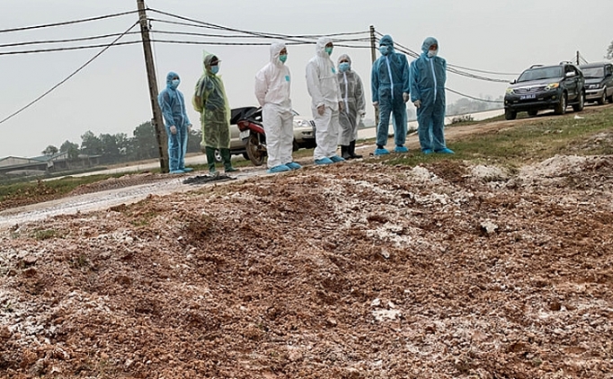 khan truong to chuc giam sat canh bao dich benh cum gia cam