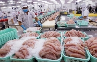 Tháng 1/2020: Xuất khẩu thủy sản giảm 25%