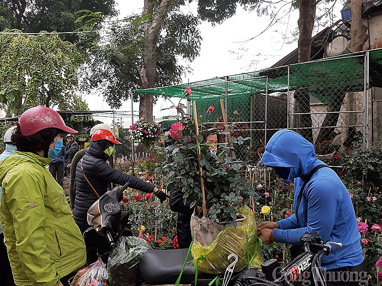 Chậu hoa tươi được nhiều người chọn mua để chơi trong những ngày đầu Xuân, năm mới