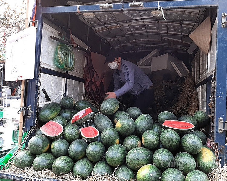 Dưa hấu được bày bán tại chợ đầu mối phía Nam giá từ 8.000 - 12.000 đồng/kg