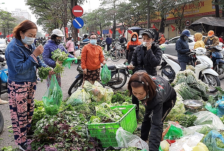 Rau xanh đắt khách