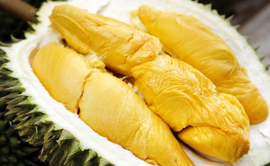 mỗi năm sản lượng sầu riêng cả nước ước đạt 600.000 tấn