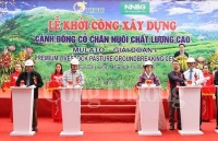 Trồng cỏ chất lượng cao, hướng tới xuất khẩu