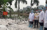 EuroCham kiến nghị 4 vấn đề về truy xuất nguồn gốc và hệ thống theo dõi vật nuôi