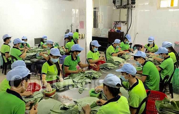 Truy xuất nguồn gốc: Doanh nghiệp đồng hành, người tiêu dùng hưởng lợi truy xuat nguon goc doanh nghiep dong hanh nguoi tieu dung huong loi